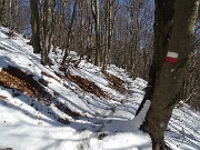 56 Nella faggeta pestando neve in scioglimento